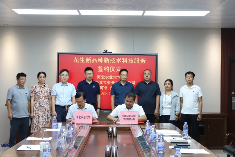 “冀農(nóng)花18號”成果轉(zhuǎn)讓暨花生新品種新技術(shù)科技服務(wù)簽約儀式在我校圓滿舉行